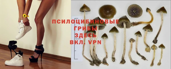мескалин Нефтегорск