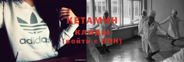 прущие грибы Нефтекумск