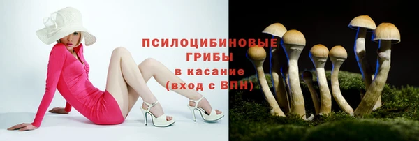 мескалин Надым