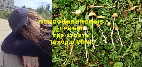 мескалин Нефтегорск